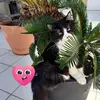 Sara Lepore - @sara.lepore - TikTok