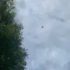 Sara Lepore - @saralepore2 - TikTok