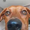 sara leroy - @saras_leroys - TikTok