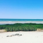 sara - @saraklesher - Instagram