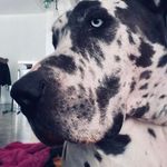 Sara Levesque - @sara_levesque101 - Instagram
