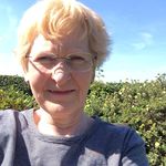Sarah Levitt Allen - @sarahlevitt2413 - Instagram