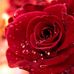 Sara Licon - Facebook