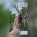 Sara Linder - Facebook