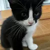 Sara - @saralinder6 - TikTok