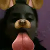 sara daniela llanas peyrano - @sarallp27 - TikTok