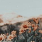 Sara Lo - Facebook
