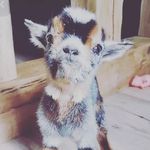 @sara.loby7871099 - Instagram