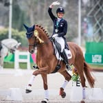 Sarah Lockman Tubman - @sldressage - Instagram
