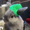 Sara Lohnes - @blue_the_nugget - TikTok