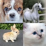 Sara_Isabell_Luft - @sara_isabell_luft - Instagram