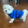 saraluft366 - @saraluft366 - TikTok