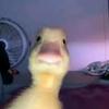saramackay - @saramackay - TikTok