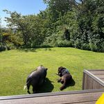 Sara Macleod - @sarafood - Instagram