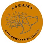 @saramaconservationdogs - Instagram