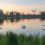 Sara Maher Kh - @sara_maher_kh - Instagram
