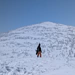 Shuji Aramaki - @s_aramaki - Instagram