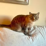 Sara Mallory Lodi - @saralodi0521 - Instagram