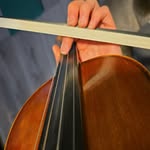 Sarah Malmstrom - @violintips - Instagram