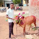 Vinit Saramani - @saramanivinit - Instagram