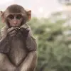 @ - @saramaniss - TikTok