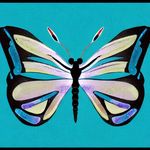 Sara Mannix - @thechaoticbutterfly_ - Instagram