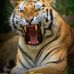 Sara Marchi - Facebook