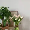 saramarion - @saramarion - TikTok