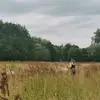 Sara - @sara_martens - TikTok
