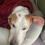 Sara Mathewson - @skippychica - Instagram