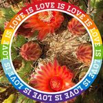 Sara Mathewson - @mathewson.sara - Instagram