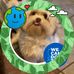 Sara McCaffrey - Facebook