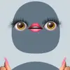 sara - @saramccaffrey4 - TikTok