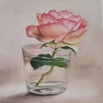 Sara McCain- Artist - @smccainart - Instagram