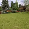 sara - @saramccain87 - TikTok