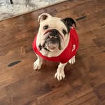Sara McDonnell - @slmpooh1 - Instagram