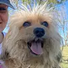 Sara McElroy - @saraann979 - TikTok