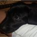 Sarah McFarlin - Facebook