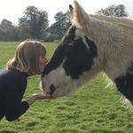 Sarah McHenry - @mchenrysar - Instagram