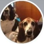 sarah_mcwhorter - @sarah_mcwhorter545 - Instagram