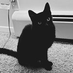 Sarah Meisner - @sarah.meisner.393 - Instagram