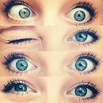 Sarah messner - @sarah.love.dogs - Instagram