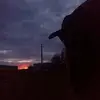 Борис Кузьминых - @saramichaelson129 - TikTok