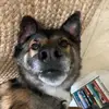 Sarah Minton - @sarahminton3 - TikTok