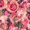 sara.mize - @sara.mize - TikTok
