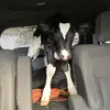 Sara with no h - @saramoats - TikTok