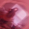 saramock_06 - @saramock_06 - TikTok