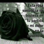 Sara Monreal - @sara.monreal.750 - Instagram