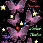 Sara Monreal - Facebook