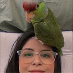 Sara Monreal - Facebook